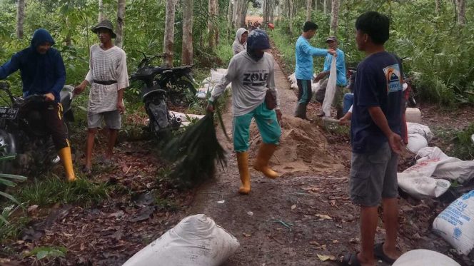 
					Warga Talang Meliku, Desa Karang Agung, secara rutin mengadakan gotong royong untuk memperbaiki jalan desa yang rusak.  foto: IST