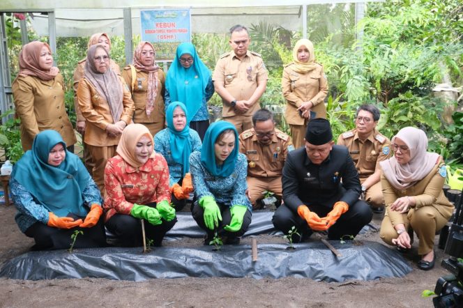 
					
Dinas Ketahanan Pangan OKU Selatan mengajak masyarakat menanam sayuran dan cabai melalui Gerakan Tanam (Gertam) untuk mendukung kesehatan dan kesejahteraan. 