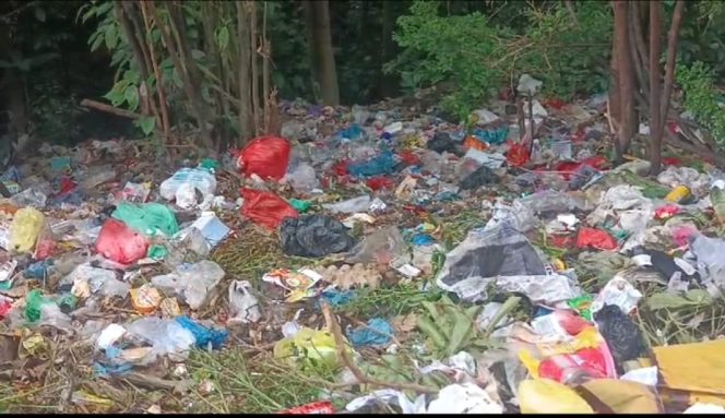 
					Tumpukan Sampah Cemari Jalan Menuju Danau Ranau