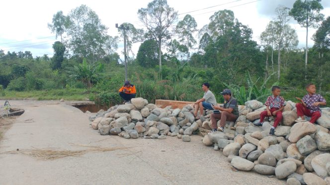 
					BPBD Pasang Beronjong untuk Atasi Jalan Putus di Desa Sinar Marga