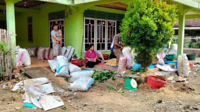 
					Harga Duku Stabil di Rp 5.000 per Kilogram, Petani Meraup Keuntungan