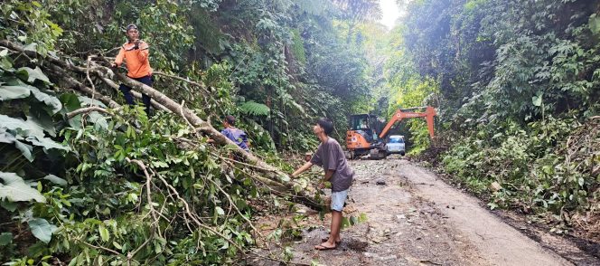 
					Pemkab OKU Selatan Selesaikan Evakuasi Material Longsor dan Pohon Tumbang di BPRRT