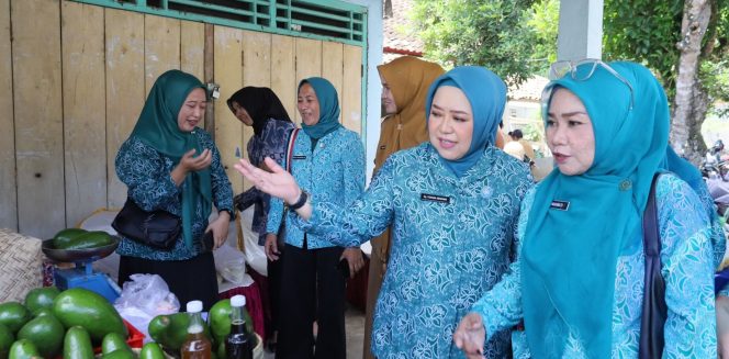 
					TP PKK Sumsel Dorong Optimalisasi Program Keluarga di OKU Selatan
