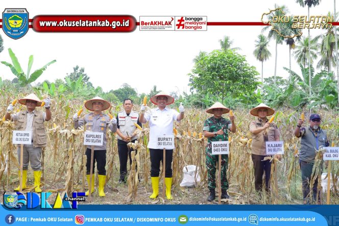 
					Panen Raya Jagung Kuartal I 2026, Bupati Abusama Apresiasi Peran Petani OKU Selatan